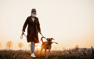 Pies a kwarantanna. Jak sobie z tym poradzić?